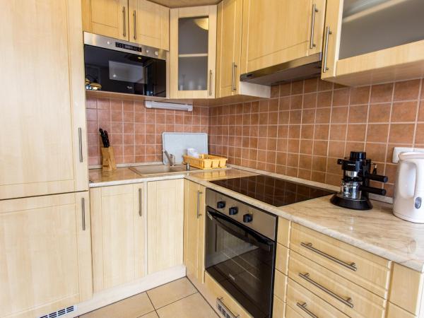 Luxury Apartment Hotel Siófok : photo 7 de la chambre studio