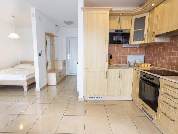 Luxury Apartment Hotel Siófok : photo 6 de la chambre studio