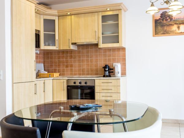 Luxury Apartment Hotel Siófok : photo 5 de la chambre studio