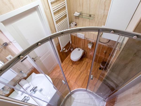 Luxury Apartment Hotel Siófok : photo 9 de la chambre studio