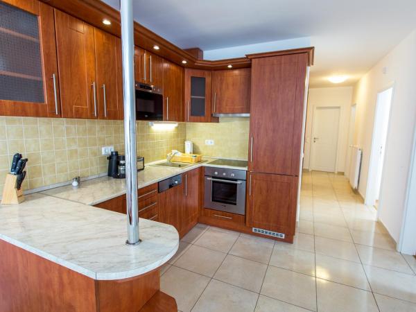 Luxury Apartment Hotel Siófok : photo 6 de la chambre appartement 1 chambre