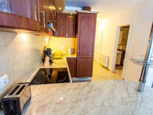 Luxury Apartment Hotel Siófok : photo 7 de la chambre appartement 1 chambre