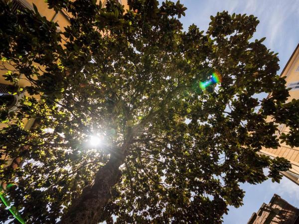 Villa Socini : photo 8 de la chambre chambre double avec salle de bains privative extérieure
