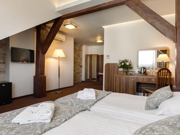Hotel Wit Stwosz : photo 2 de la chambre chambre double/lits jumeaux