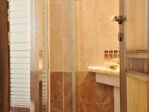 Acropolis Museum Boutique Hotel : photo 7 de la chambre chambre simple