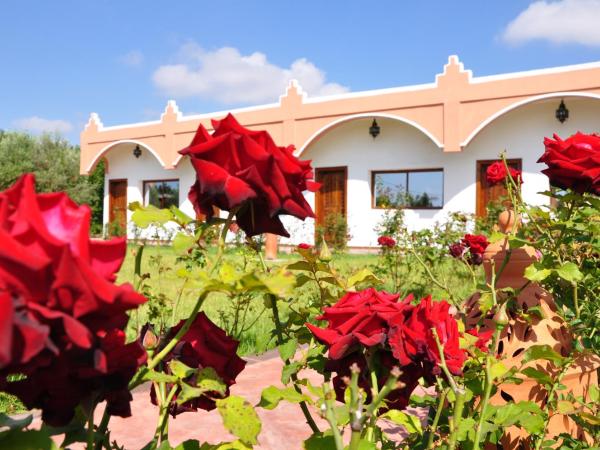 Riad Hamdani : photo 6 de la chambre chambre triple - vue sur jardin