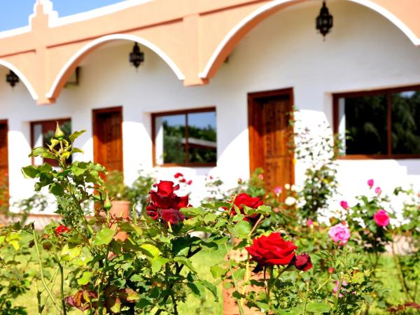 Riad Hamdani : photo 4 de la chambre chambre double - vue sur jardin