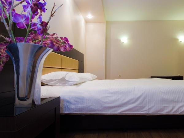 Giotis Boutique Hotel : photo 3 de la chambre chambre simple