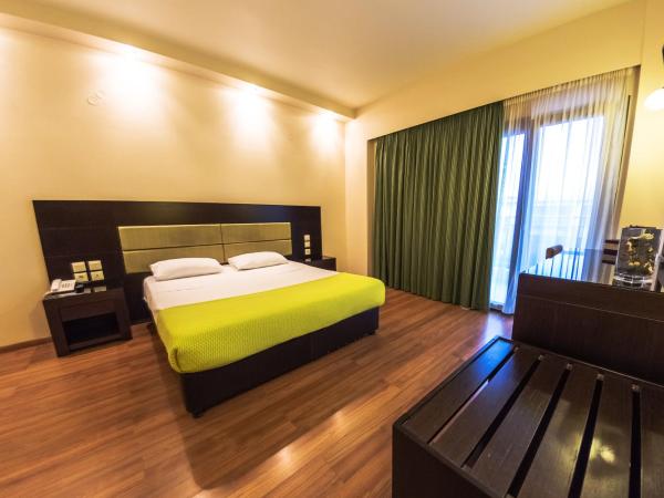 Giotis Boutique Hotel : photo 6 de la chambre chambre simple