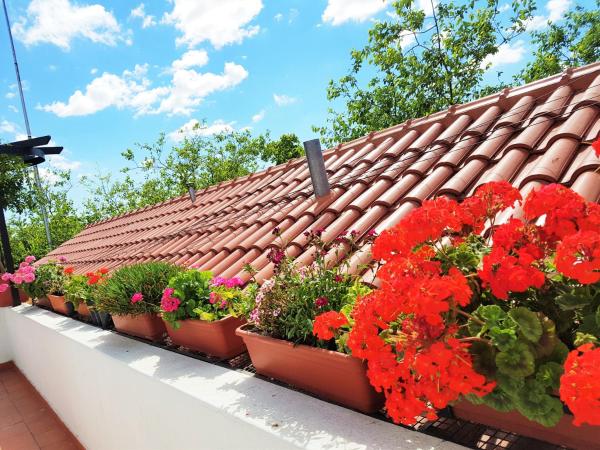 Azul Departamentos : photo 5 de la chambre studio avec terrasse