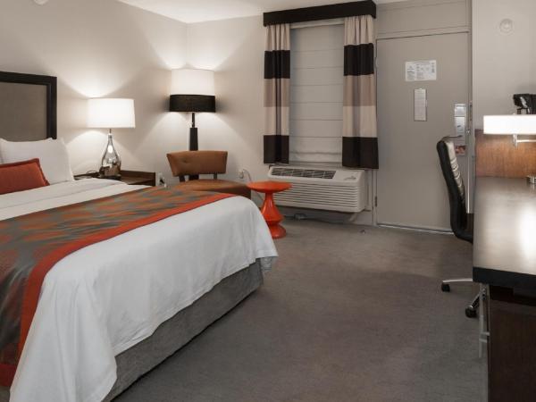 Ramada by Wyndham Boston : photo 3 de la chambre chambre lit king-size - non-fumeurs