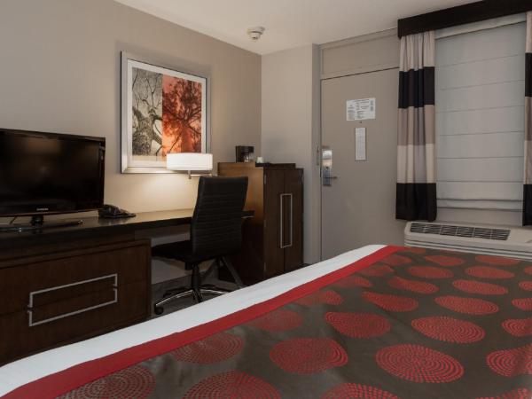 Ramada by Wyndham Boston : photo 5 de la chambre chambre lit king-size - non-fumeurs
