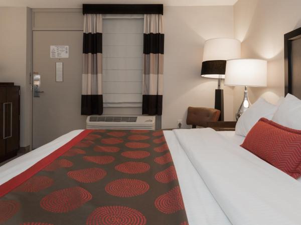Ramada by Wyndham Boston : photo 5 de la chambre chambre lit queen-size accessible aux personnes à mobilité réduite - non-fumeurs