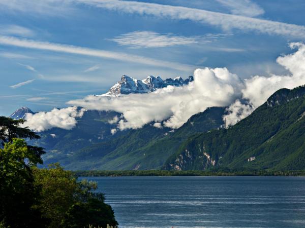 Hôtel Bon Rivage : photo 1 de la chambre chambre double ou lits jumeaux supérieure - vue sur lac