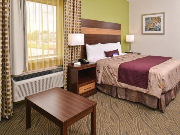 Americas Best Value Inn Downtown Houston : photo 2 de la chambre chambre lit king-size