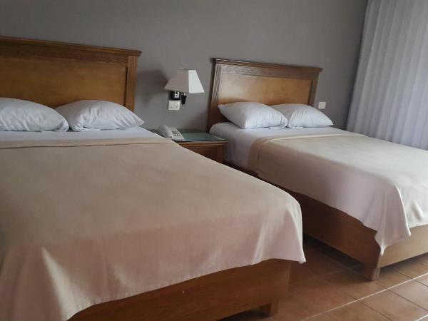 Tecnohotel Mérida Norte : photo 7 de la chambre chambre double ou lits jumeaux - vue sur jardin