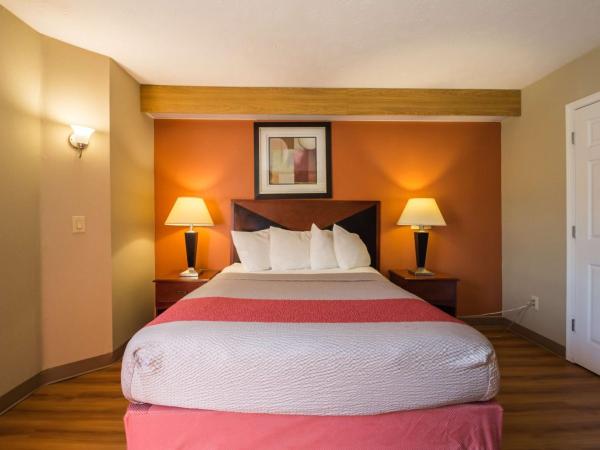 Motel 6-Indianapolis, IN - Airport : photo 5 de la chambre chambre lit king-size - non-fumeurs