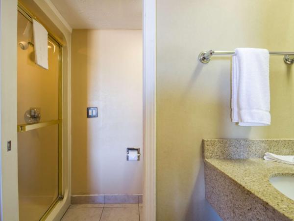 Motel 6-Indianapolis, IN - Airport : photo 8 de la chambre chambre lit king-size - non-fumeurs