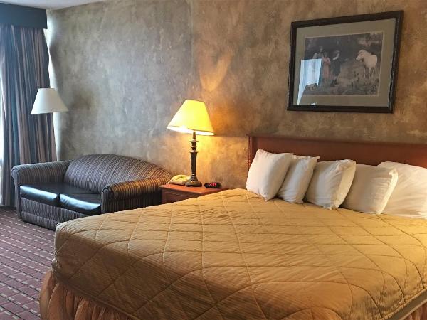 The Biltmore Hotel Oklahoma : photo 3 de la chambre chambre lit king-size