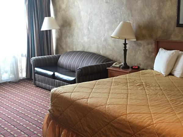 The Biltmore Hotel Oklahoma : photo 2 de la chambre chambre lit king-size