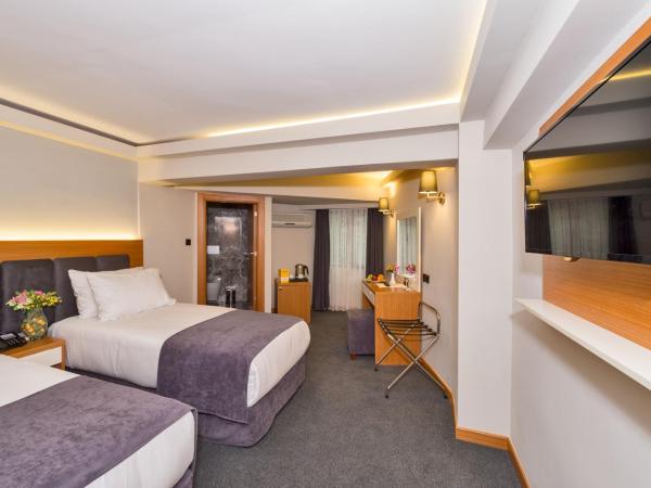 Bergama Hotel : photo 2 de la chambre chambre double ou lits jumeaux