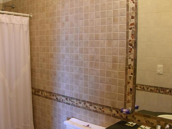 Hotel San Francisco : photo 4 de la chambre chambre double