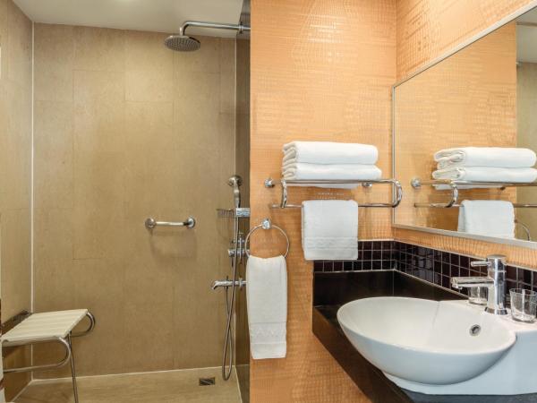 Ramada by Wyndham Ankara : photo 4 de la chambre chambre double pour personnes à mobilité réduite - non-fumeurs