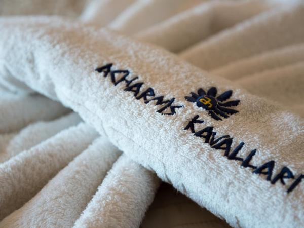 Acharnis Kavallari Hotel Suites : photo 1 de la chambre suite