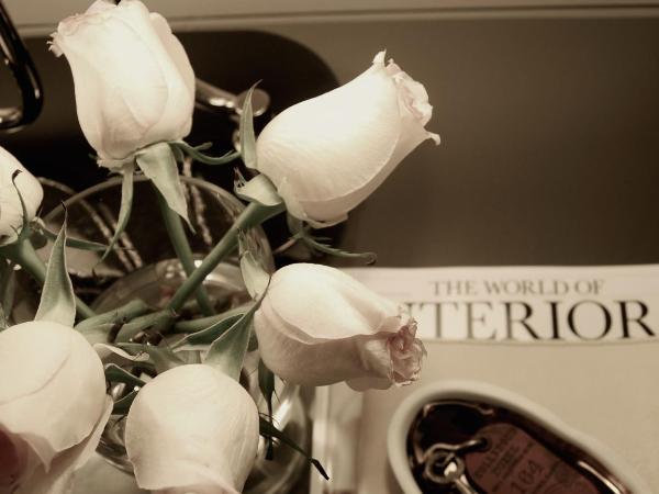 Hollywood Hotel : photo 10 de la chambre chambre avec 2 grands lits queen-size