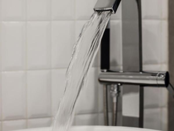 David's Deer Hotel : photo 7 de la chambre chambre double