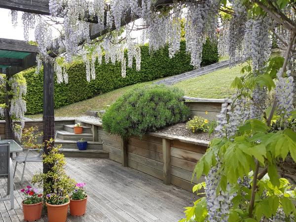Criffel Peak View Bed and Breakfast : photo 5 de la chambre chambre standard lit queen-size