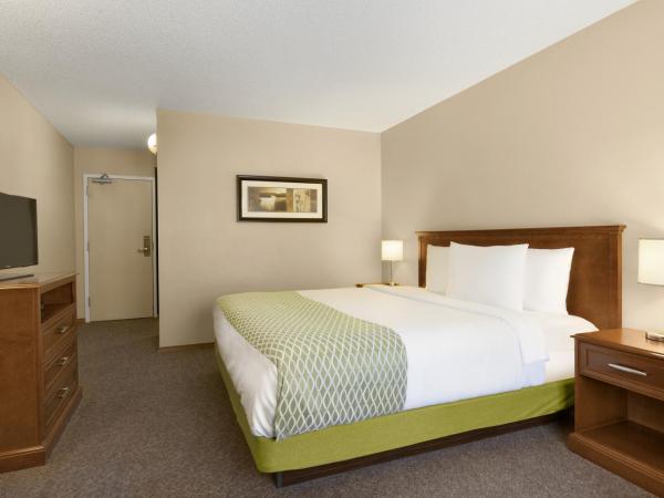 Colonial Square Inn & Suites : photo 2 de la chambre chambre lit king-size affaires