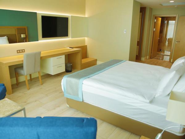 The Ankara Hotel : photo 5 de la chambre suite classique
