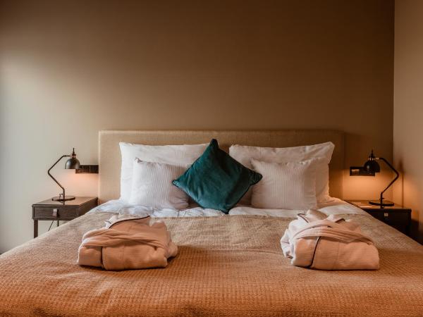 Clarion Hotel Aviapolis : photo 1 de la chambre chambre double supérieure