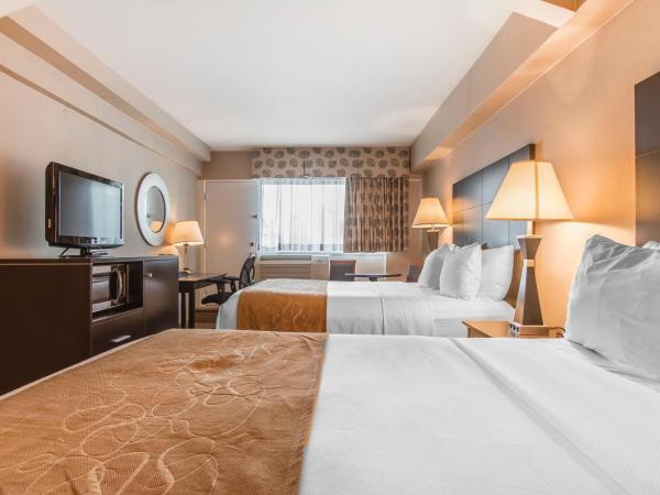 Comfort Suites Downtown : photo 2 de la chambre chambre 2 lits queen-size - non-fumeurs