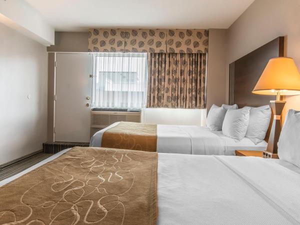 Comfort Suites Downtown : photo 1 de la chambre chambre 2 lits queen-size - non-fumeurs