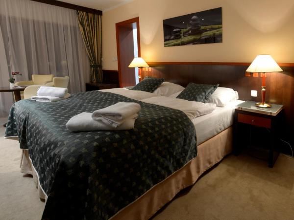 Hotel Grand : photo 9 de la chambre chambre double deluxe