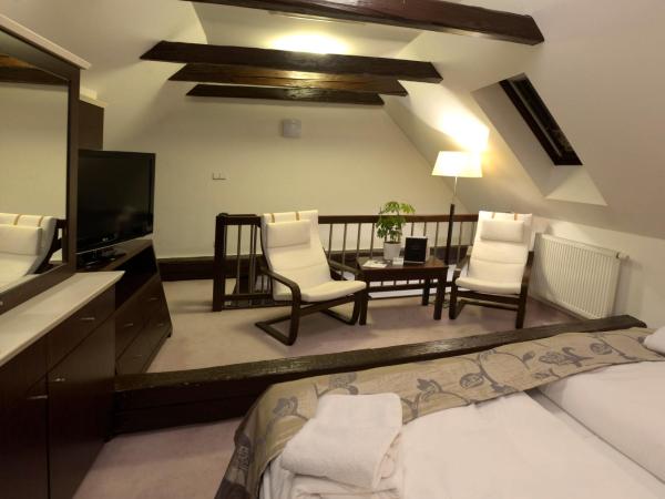 Hotel Grand : photo 7 de la chambre suite en duplex - vue sur château