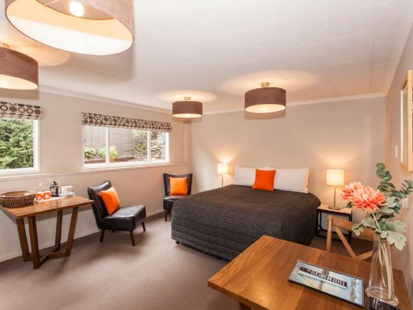 Wanaka View Motel : photo 3 de la chambre studio - sous-sol