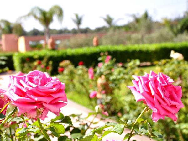 Riad Hamdani : photo 5 de la chambre chambre quadruple supérieure