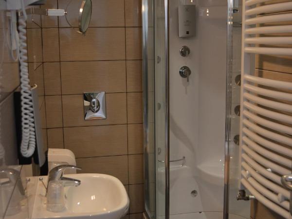 Hôtel La Porte Saint Pierre-Logis Hôtel Intra Muros : photo 1 de la chambre chambre simple avec douche 