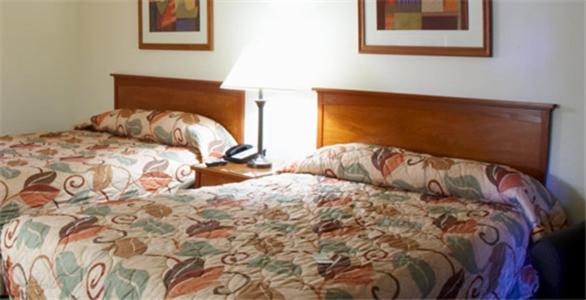 Premier Inns Tolleson : photo 3 de la chambre chambre avec 2 grands lits queen-size 
