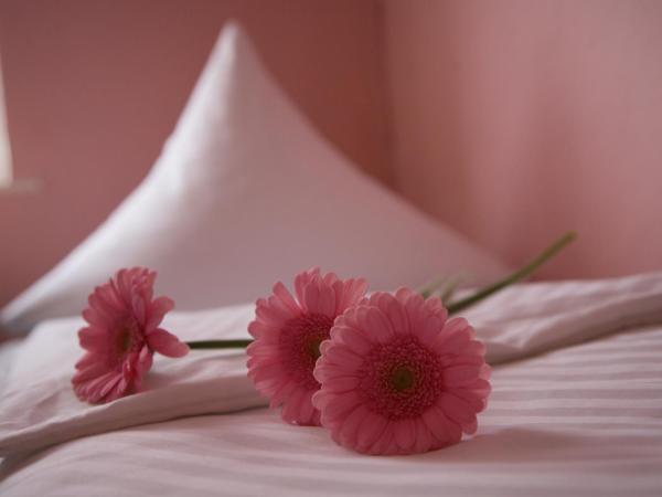 Hotel-Pension Adamshof : photo 4 de la chambre chambre lits jumeaux avec salle de bains commune