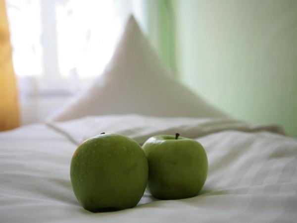 Hotel-Pension Adamshof : photo 4 de la chambre chambre simple avec salle de bains commune