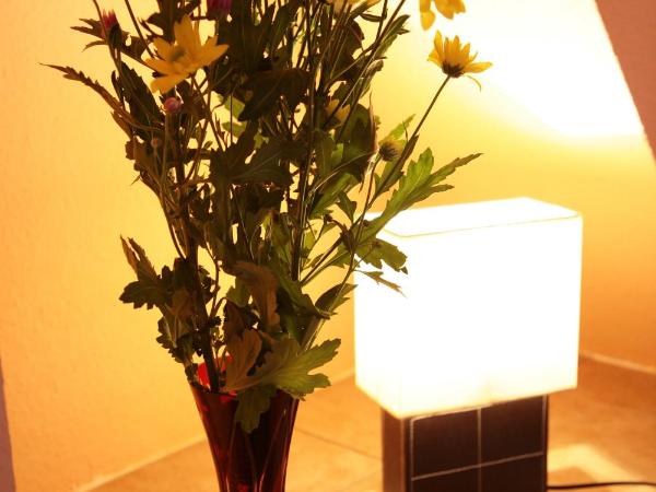 Hotel-Pension Adamshof : photo 5 de la chambre chambre double avec salle de bains commune