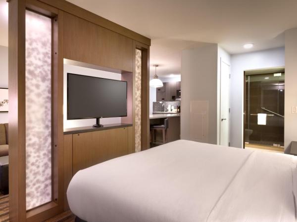 Hyatt House Portland / Downtown : photo 3 de la chambre king studio suite with kitchen and sofa bed