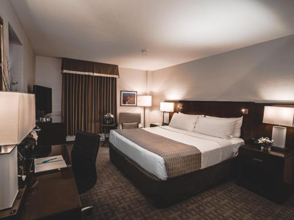 Lord Elgin Hotel : photo 7 de la chambre chambre lit king-size classique