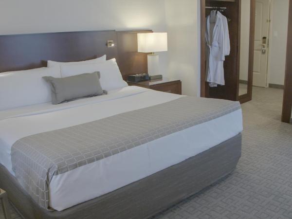 Lord Elgin Hotel : photo 5 de la chambre chambre lit king-size classique