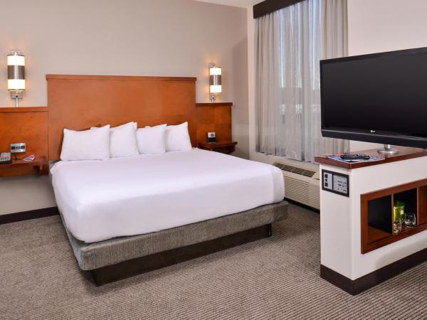 Hyatt Place Garden City : photo 3 de la chambre chambre lit king-size avec canapé-lit
