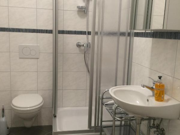 Villa Marie Mannheim : photo 2 de la chambre appartement - rez-de-chaussée (3) avec jardin d'hiver